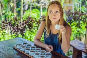 バリ島：聖なる洞窟からブルーラグーン、滝、海までを体験してください