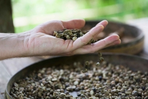 バリ島：聖なる洞窟からブルーラグーン、滝、海までを体験してください