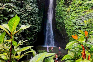バリ島：聖なる湖の寺院、隠れた滝、穏やかな高地をご案内します