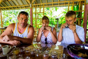 バリ島：聖なる湖の寺院、隠れた滝、穏やかな高地をご案内します