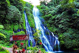 バリ島：聖なる湖の寺院、隠れた滝、穏やかな高地をご案内します