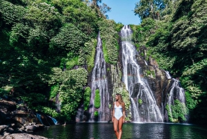 バリ島：聖なる湖の寺院、隠れた滝、穏やかな高地をご案内します