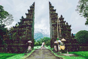 バリ島：聖なる湖の寺院、隠れた滝、穏やかな高地をご案内します