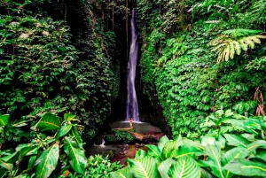 バリ島：聖なる湖の寺院、隠れた滝、穏やかな高地をご案内します