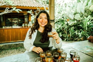 バリ島：聖なる湖の寺院、隠れた滝、穏やかな高地をご案内します