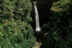 バリ島：聖なる猿の森林、ヌンヌン滝、寺院