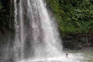 Bali: Sacred Monkey Forest, Rice Terraces & Ritual Tour