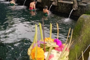 Bali: Sacred Monkey Forest, Rice Terraces & Ritual Tour