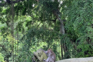 Bali: Sangeh Monkey Forest, Waterfall, & Temple Tour