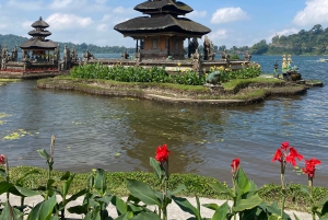 Bali: Sangeh Monkey Forest, Waterfall, & Temple Tour