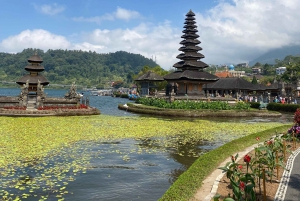Bali: Sangeh Monkey Forest, Waterfall, & Temple Tour