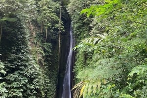 Bali: Sangeh Monkey Forest, Waterfall, & Temple Tour
