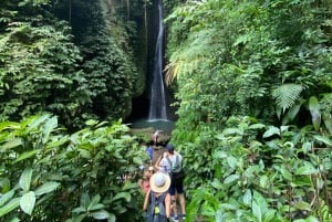 Bali: Sangeh Monkey Forest, Waterfall, & Temple Tour