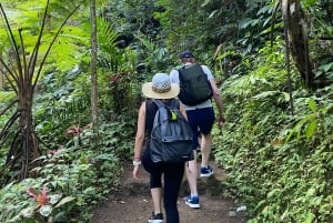 Bali: Sangeh Monkey Forest, Waterfall, & Temple Tour