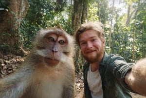 Bali: Privat dagstur till Sangeh, Taman Mumbul och Jatiluwih