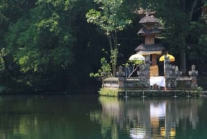 Bali: Privat dagstur till Sangeh, Taman Mumbul och Jatiluwih