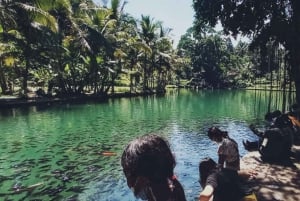 Bali: Privat dagstur till Sangeh, Taman Mumbul och Jatiluwih