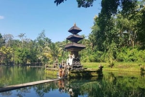 Bali: Privat dagstur till Sangeh, Taman Mumbul och Jatiluwih
