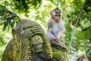 Bali: Privat dagstur till Sangeh, Taman Mumbul och Jatiluwih