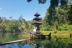 Bali: Sangeh, Taman Mumbul & Jatiluwih Private Day Tour