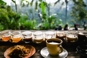 Bali: Sangeh, Taman Mumbul & Jatiluwih Private Day Tour