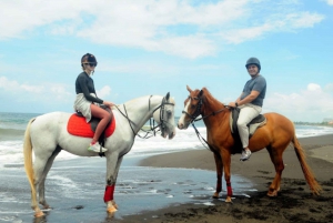 Bali: Sanur Horse Riding for Beginner Experience