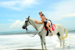 Bali: Sanur Horse Riding for Beginner Experience