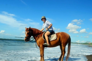 Bali: Sanur Horse Riding for Beginner Experience