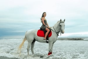 Bali: Ridning i Sanur for nybegyndere