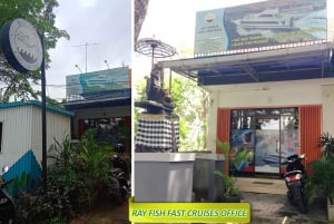 Bali Sanur: Einweg-Expressfähre nach/von Nusa Penida