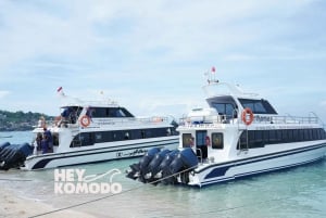 Bali Sanur : Til eller fra Nusa Lembongan med hurtigbåttransport