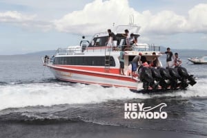 Bali Sanur : Van of naar Nusa Lembongan met Fastboat Transfer