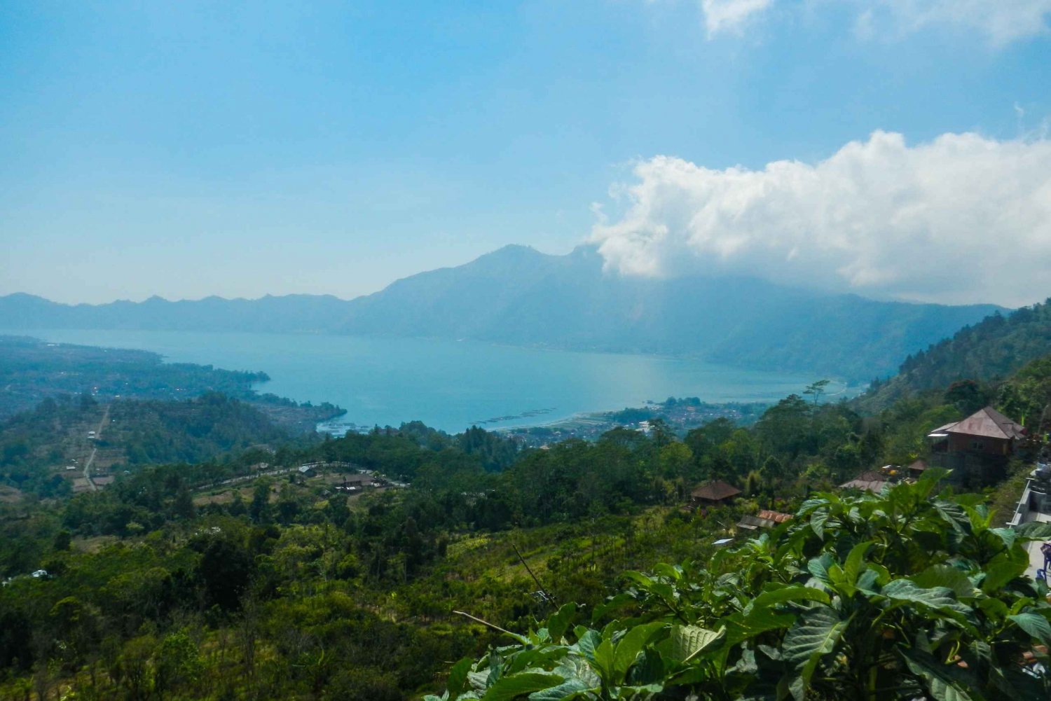 Bali: Scenic Ubud & Kintamani Volcano Private Full-Day Tour