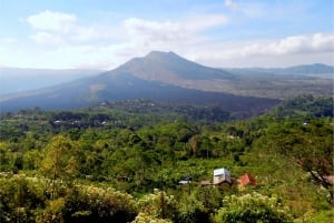 Bali: Scenic Ubud & Kintamani Volcano Private Full-Day Tour