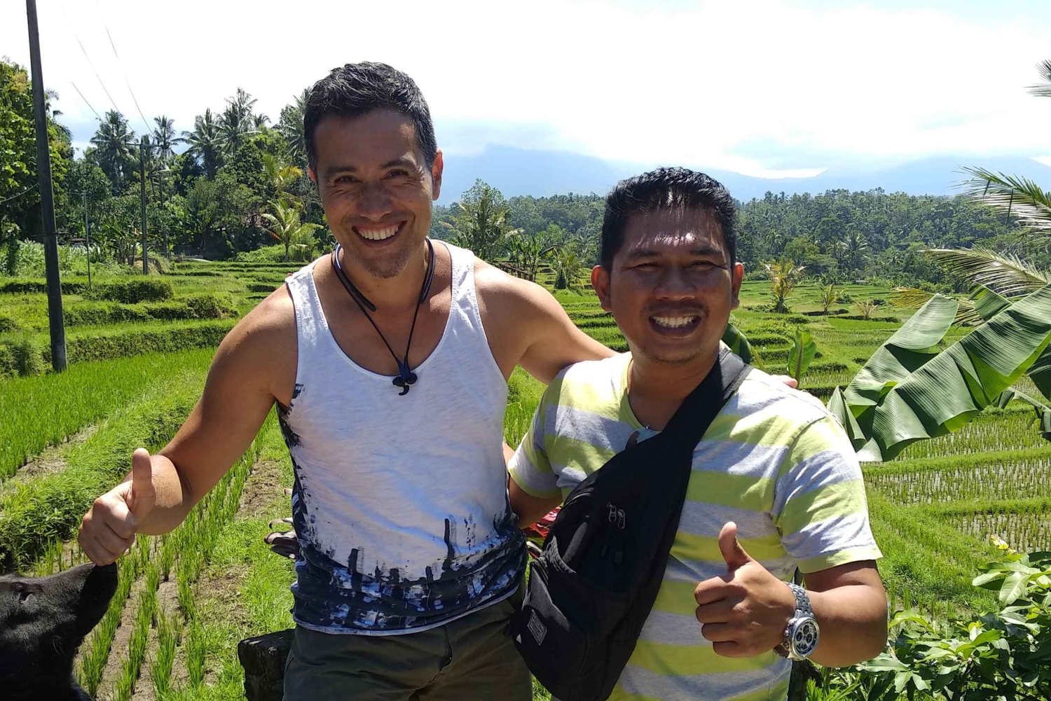 Bali Scooter Tour With Tour Guide