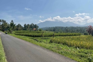 Bali Scooter Tour With Tour Guide