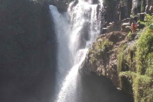 Bali Scooter Tour With Tour Guide