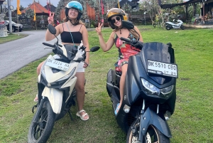 Bali Scooter Tour With Tour Guide