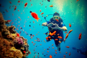 Bali: SCUBA-duikervaring voor beginners en gezinnen