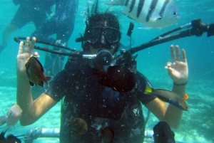 Bali: Scuba Diving For Beginner Experience