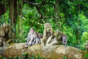 Bali Sea Walker-oplevelse med valgfri sightseeingtur