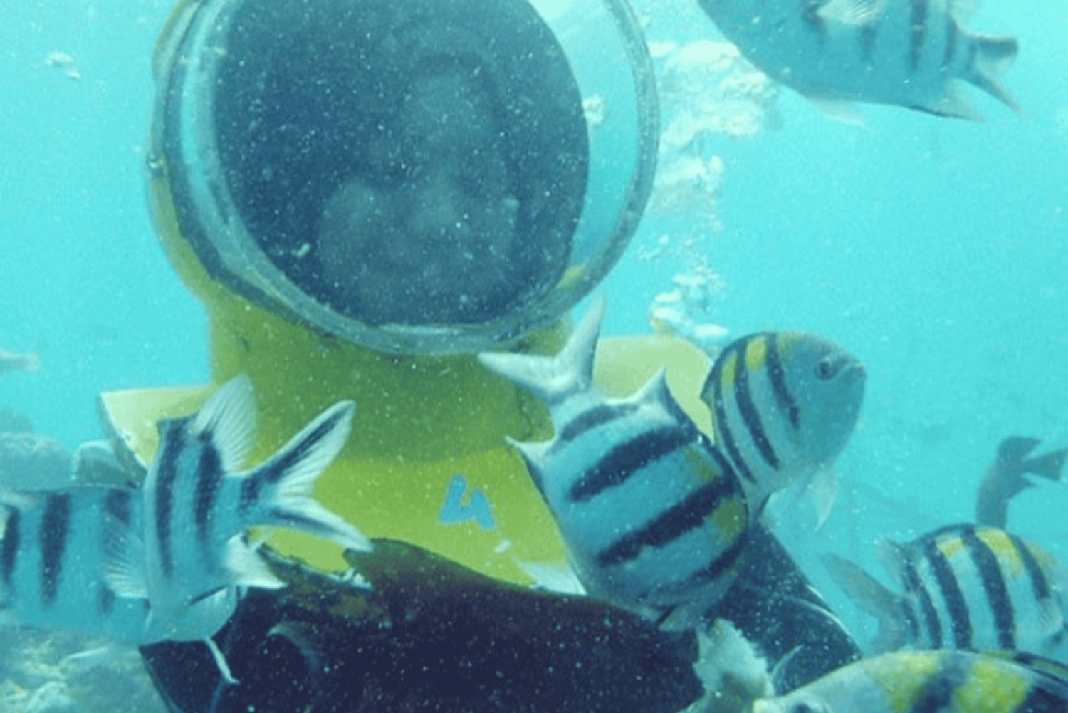 Bali: Sea Walker Under Water Experience