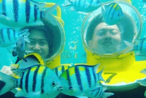 Bali: Sea Walker Under Water Experience