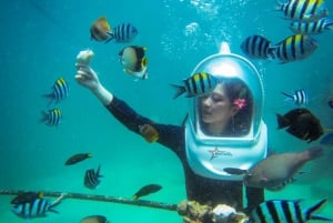 Bali: Sea Walker Water Sport Experience with Hotel Transfer