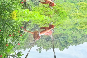 Бали: экскурсия к источнику святой воды Себату и рисовым террасам