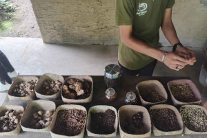 Бали: экскурсия к источнику святой воды Себату и рисовым террасам