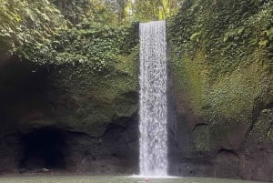 Bali: cascadas secretas y columpio en Tegalalang