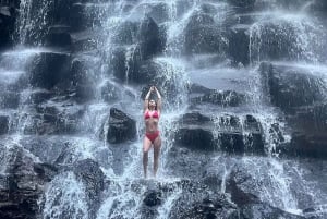 Bali: cascadas secretas y columpio en Tegalalang