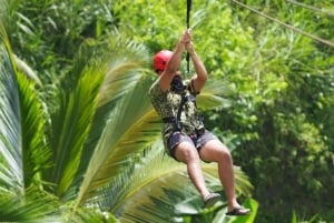 Bali: cascadas secretas y columpio en Tegalalang