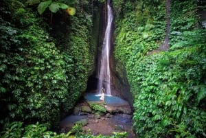 Bali Northern Best Waterfalls Tour